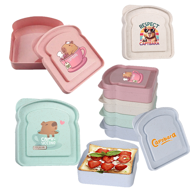 Capybara Sandwich Food Storage - огляд і ціна Food Storage With Dividers